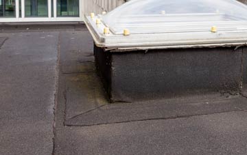 disadvantages of Mountain Cross flat roofs