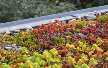 the cost of Mountain Cross green roof installation