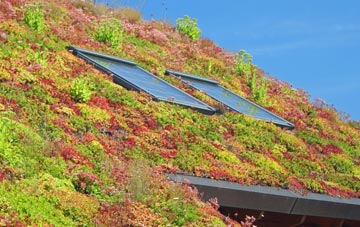 Mountain Cross living roof systems