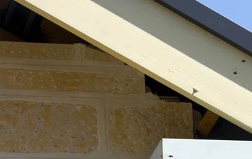 soffit repair Mountain Cross